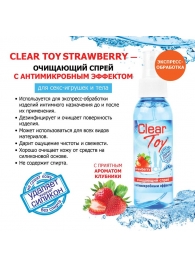 Очищающий спрей для игрушек CLEAR TOY Strawberry - 100 мл. - Биоритм - купить с доставкой в Златоусте