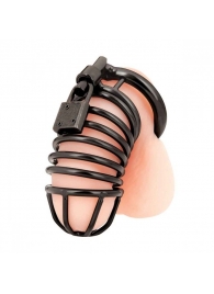 Черная металлическая клетка с замком Deluxe Chastity Cage - BlueLine - купить с доставкой в Златоусте