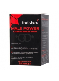 Капсулы для мужчин Erotichard male power с пантогематогеном - 20 капсул (0,370 гр.) - Erotic Hard - купить с доставкой в Златоусте