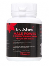 Капсулы для мужчин Erotichard male power с пантогематогеном - 20 капсул (0,370 гр.) - Erotic Hard - купить с доставкой в Златоусте