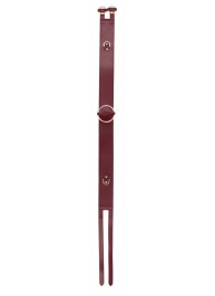 Бордовый ремень Halo Waist Belt - размер L-XL - Shots Media BV - купить с доставкой в Златоусте