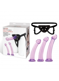 Тренировочный набор с тремя насадками Pegging Training Set - Lux Fetish - купить с доставкой в Златоусте