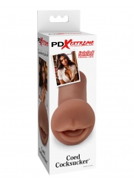 Мастурбатор-ротик Coed Cocksucker - Pipedream - в Златоусте купить с доставкой