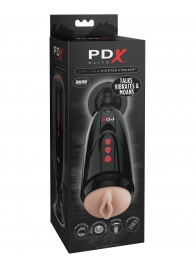 Мастурбатор-вагина с вибрацией Dirty Talk Starter Stroker - Pipedream - в Златоусте купить с доставкой