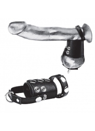 Кольцо на член и мошонку Cock Ring With 2  Ball Stretcher And Optional Weight Ring - BlueLine - в Златоусте купить с доставкой