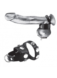 Утяжка для мошонки и пениса Cock Ring With 1  Ball Stretcher And Optional Weight Ring - BlueLine - купить с доставкой в Златоусте