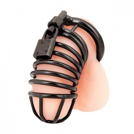 Черная металлическая клетка с замком Deluxe Chastity Cage - BlueLine - купить с доставкой в Златоусте