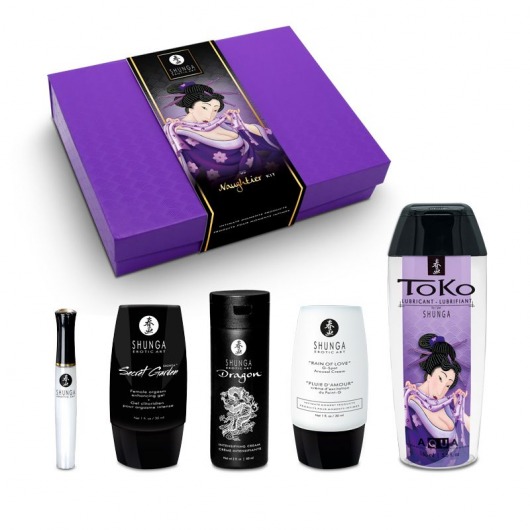 Подарочный набор Naughter Kit - Shunga - купить с доставкой в Златоусте