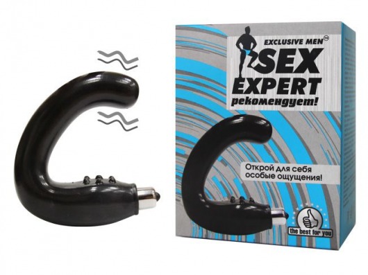 Чёрный массажёр простаты серии Sex Expert - Sex Expert - в Златоусте купить с доставкой